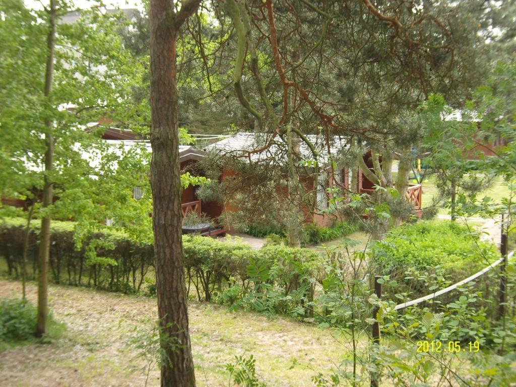 Villa Osrodek Wypoczynkowy Amber Kąty Rybackie Esterno foto