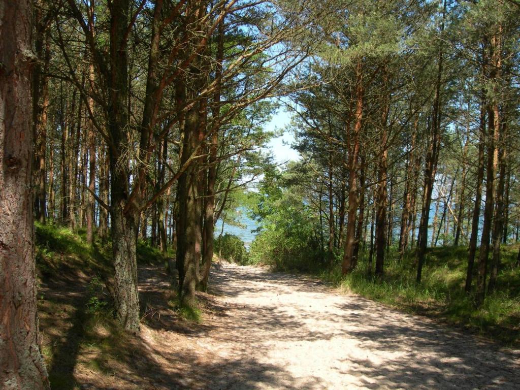 Villa Osrodek Wypoczynkowy Amber Kąty Rybackie Esterno foto